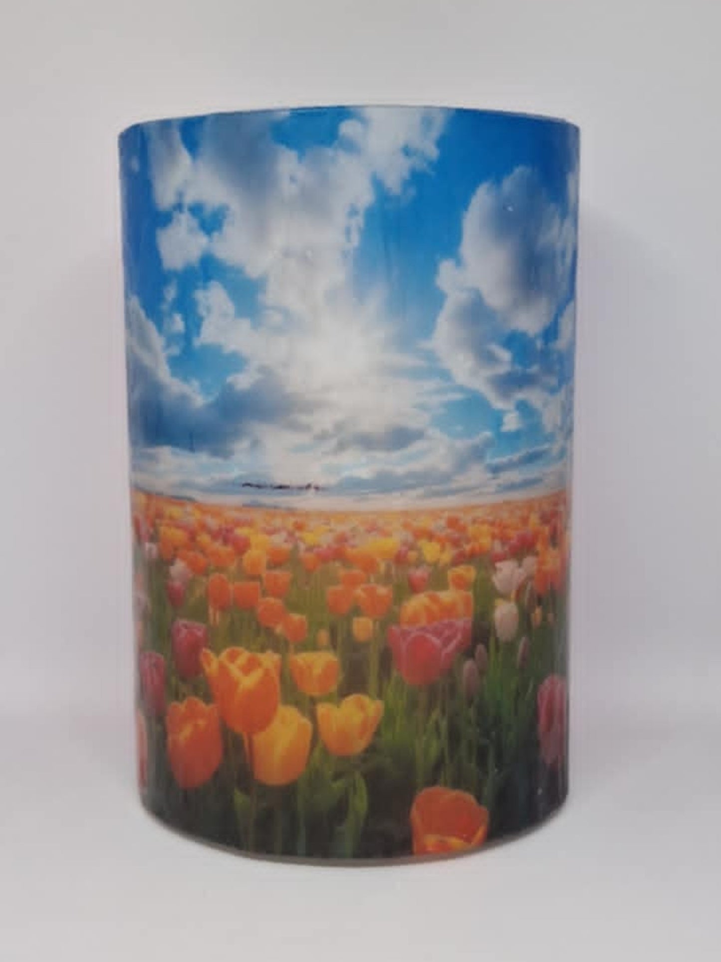 Weiland met bloeiende tulpen