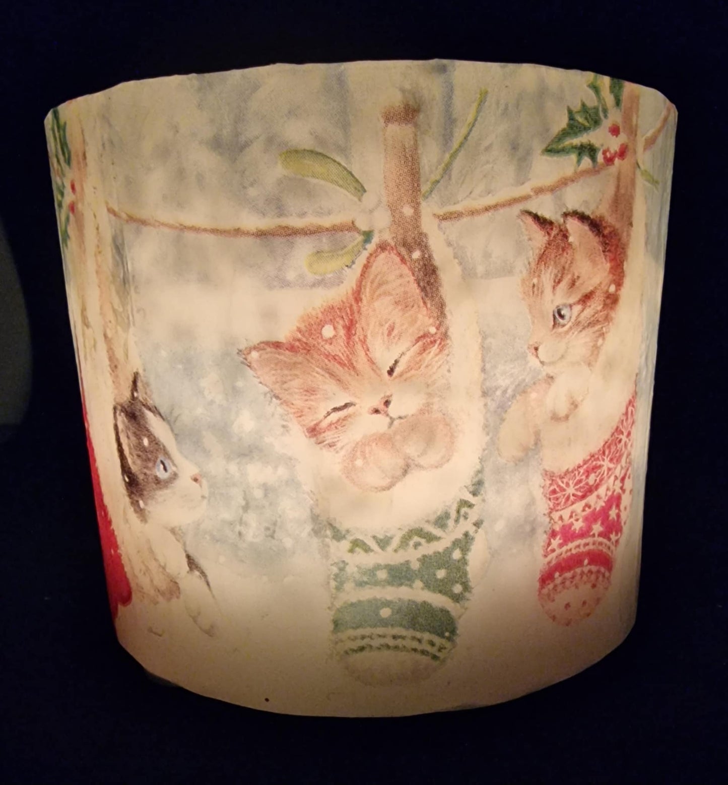 Kittens in kerst kousen