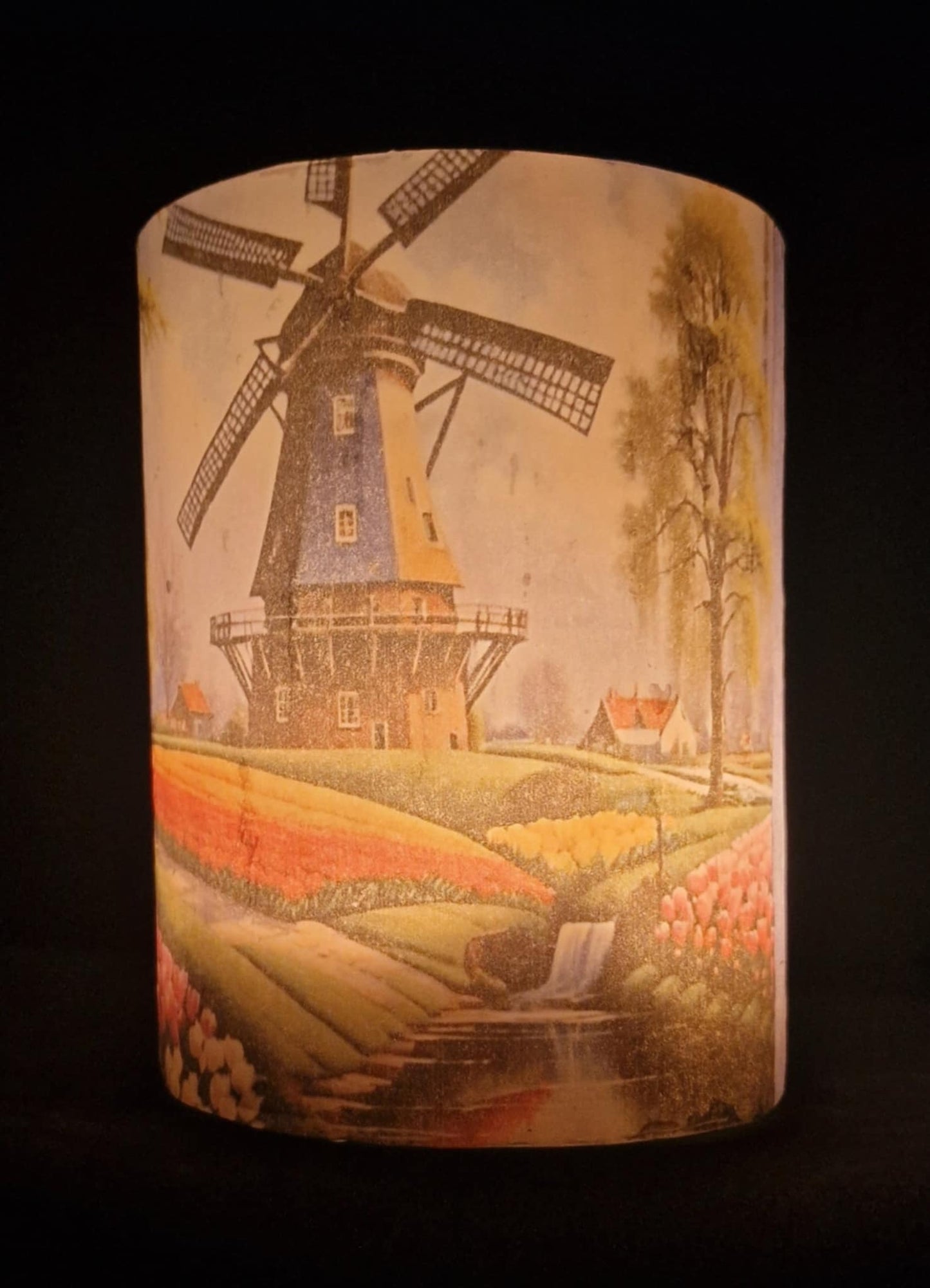 Molen in weilanden