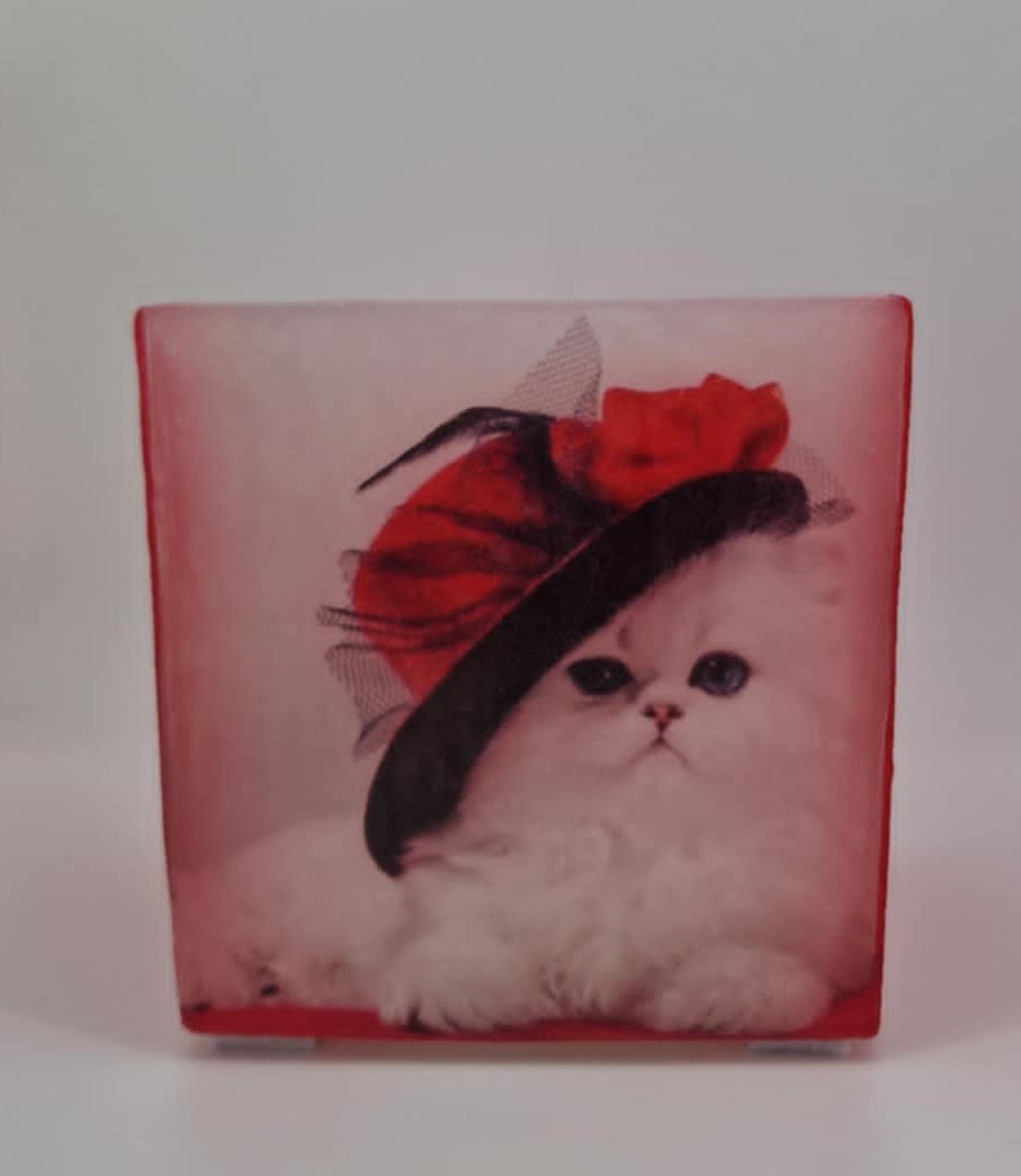 Chique kat