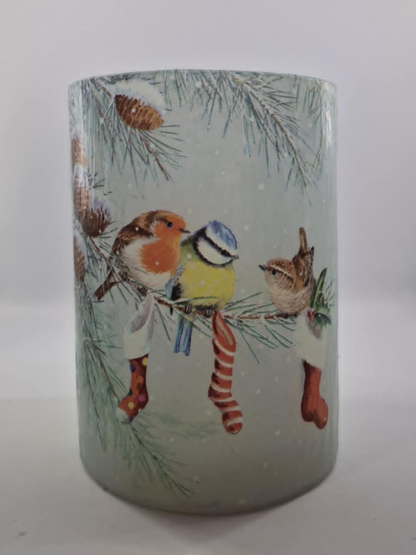 Vogeltjes in de sneeuw