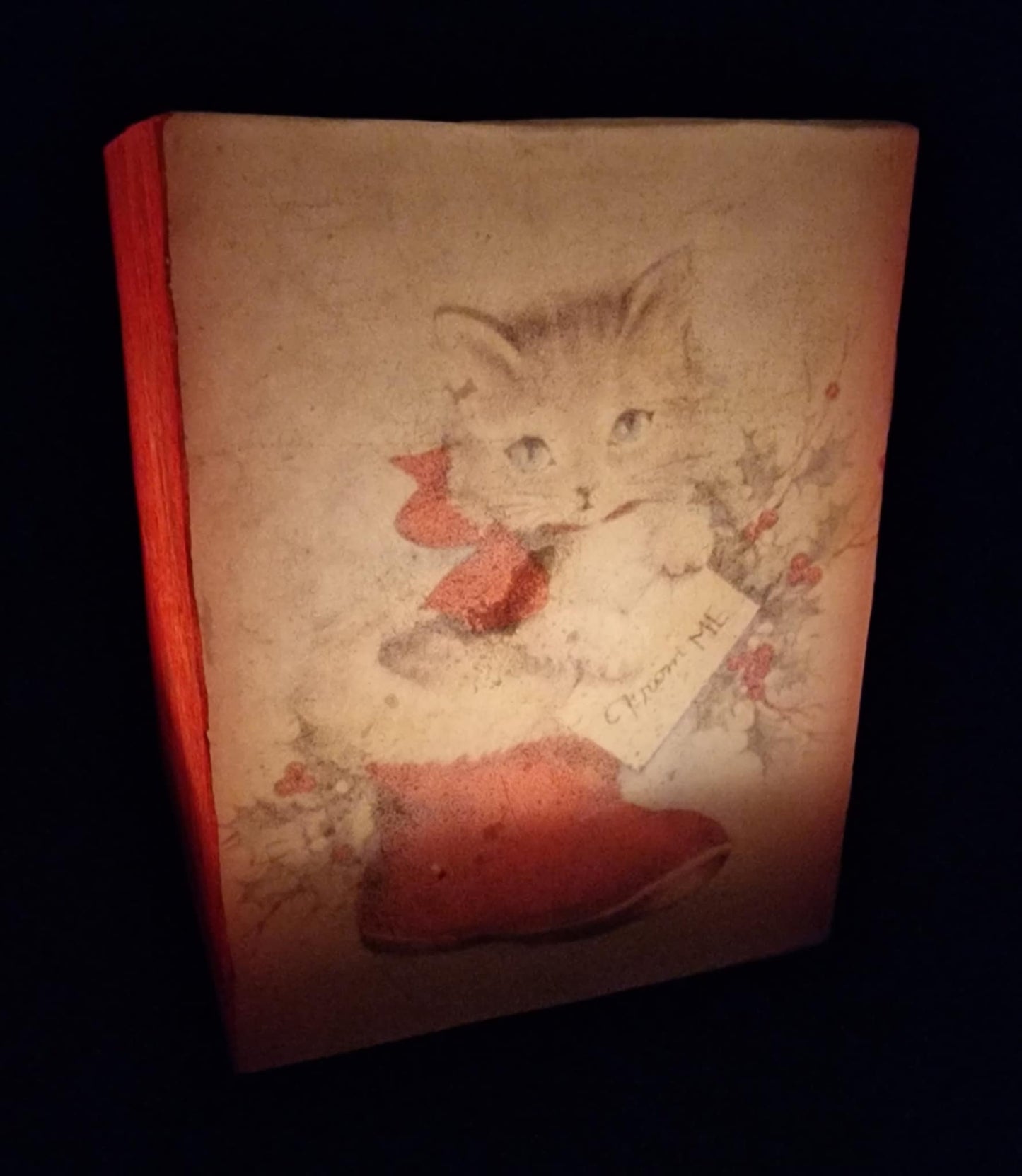 Kitten in een sinterklaas laars
