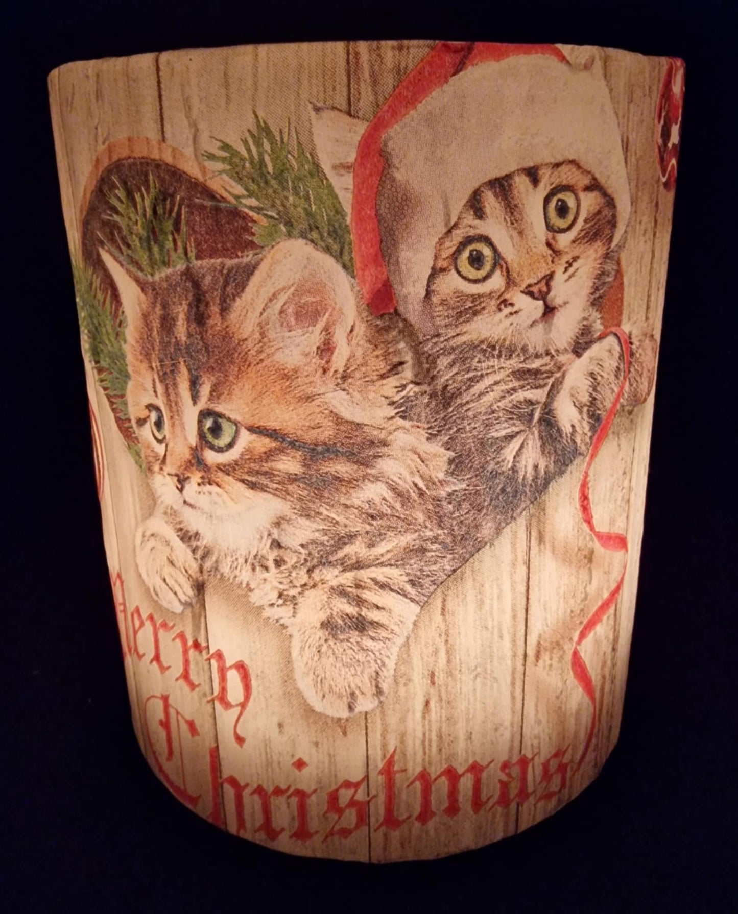 Kittens in een kerstmuts