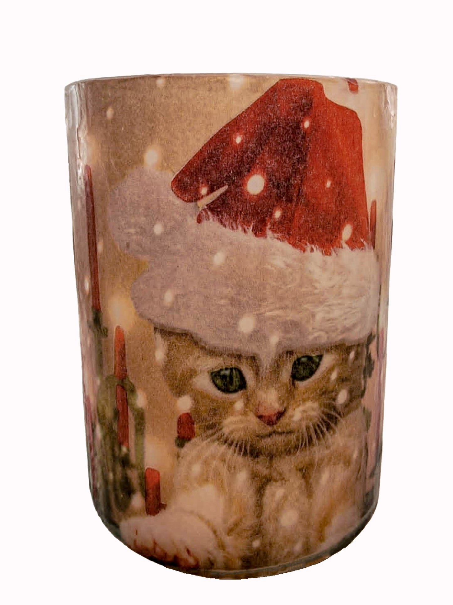 Kat in een kerstmuts