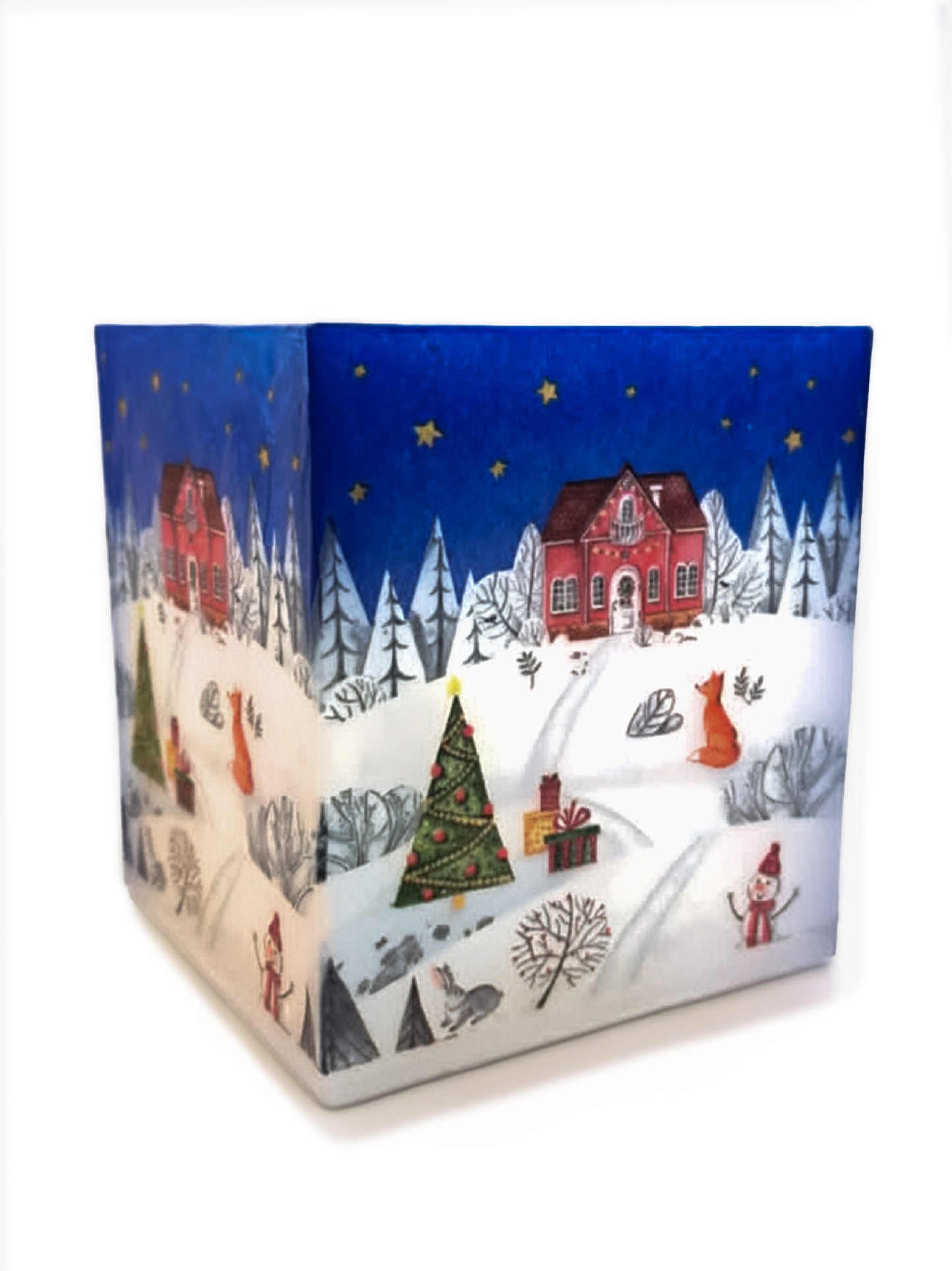 Kerst dorpje
