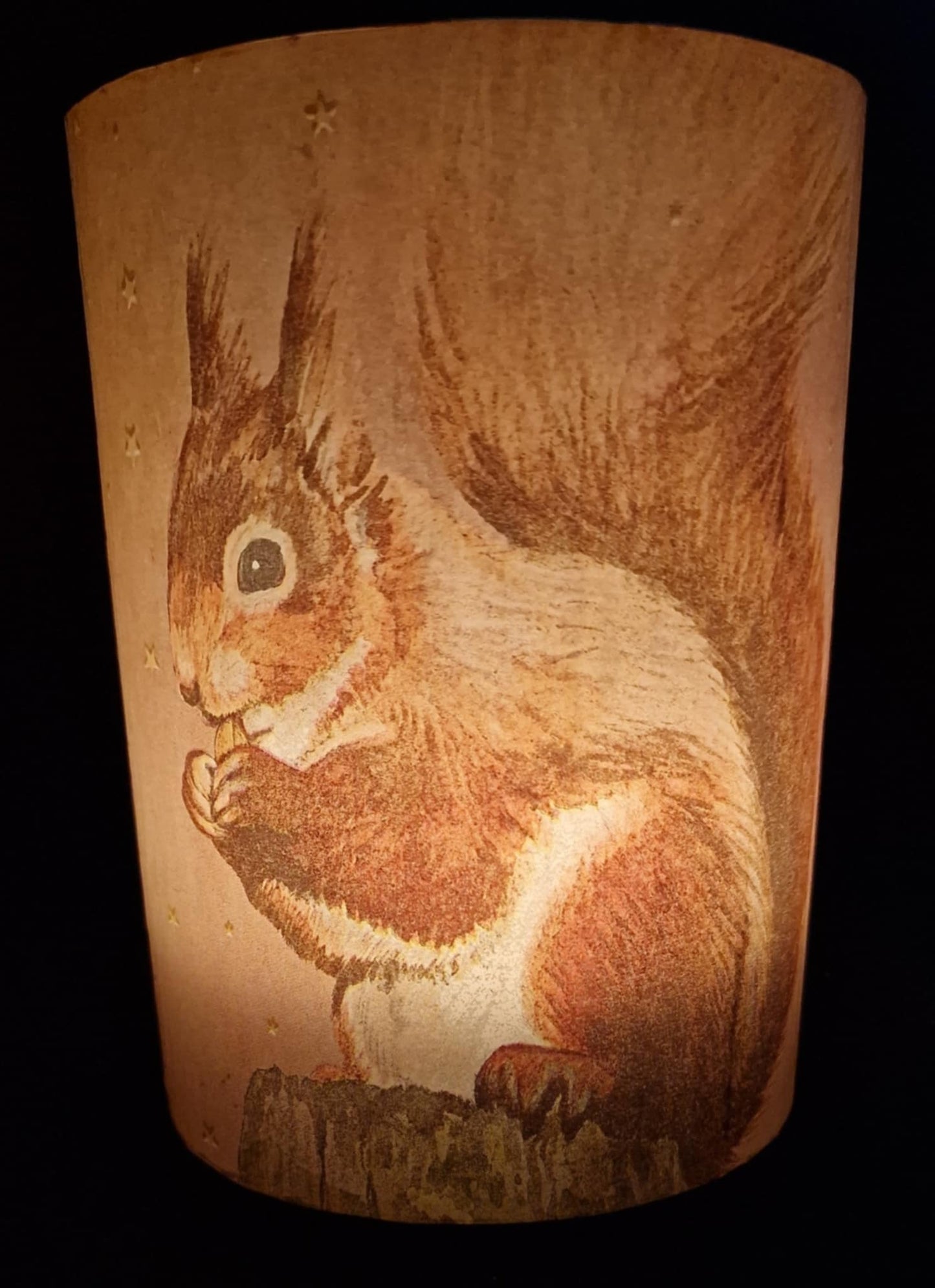 Eekhoorn in het bos