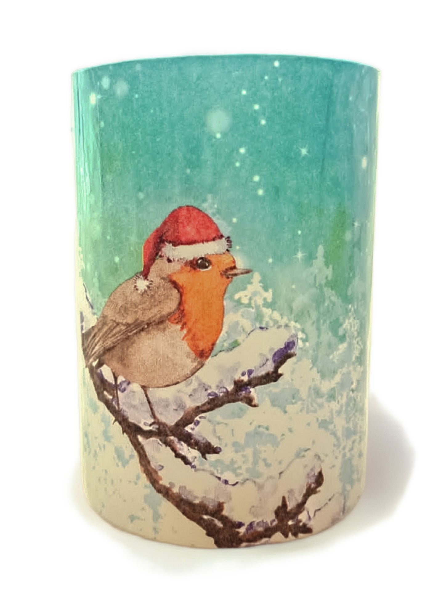 Vogel met een Kerstmuts