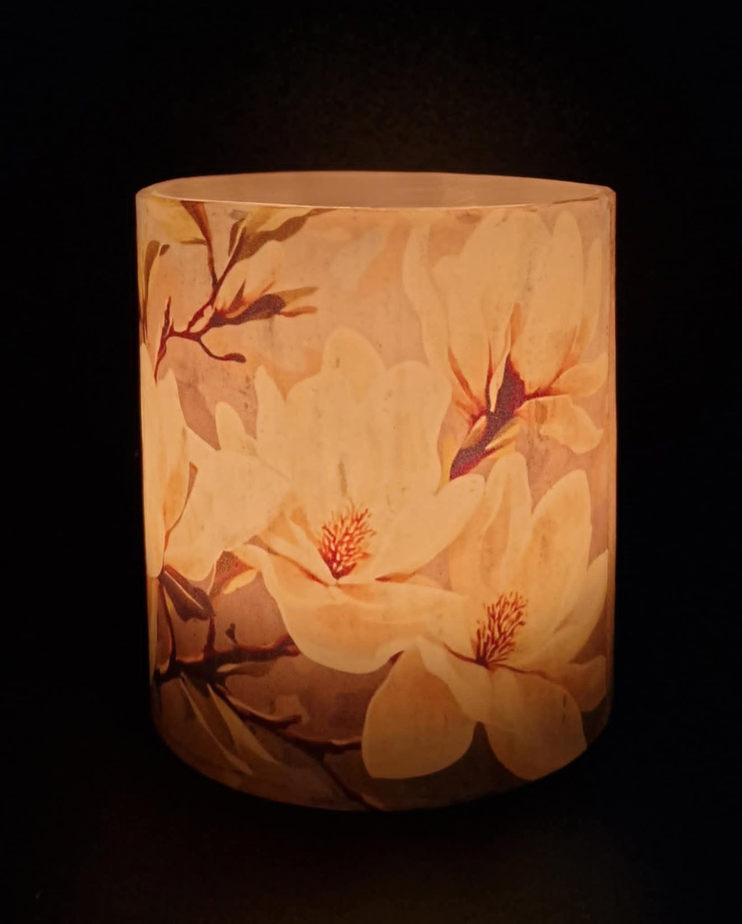 Bloeiende Magnolia bloem