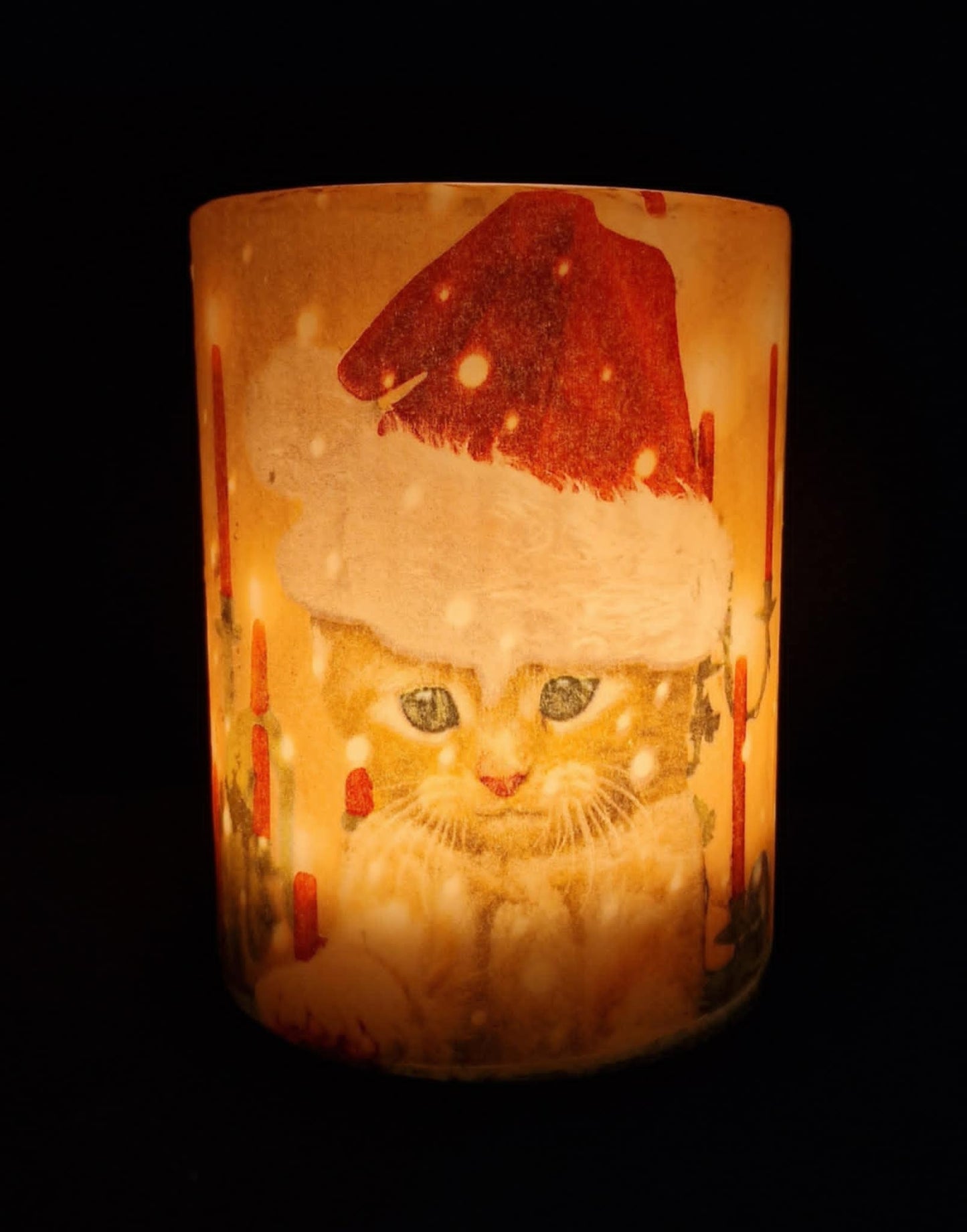 Kat in een kerstmuts