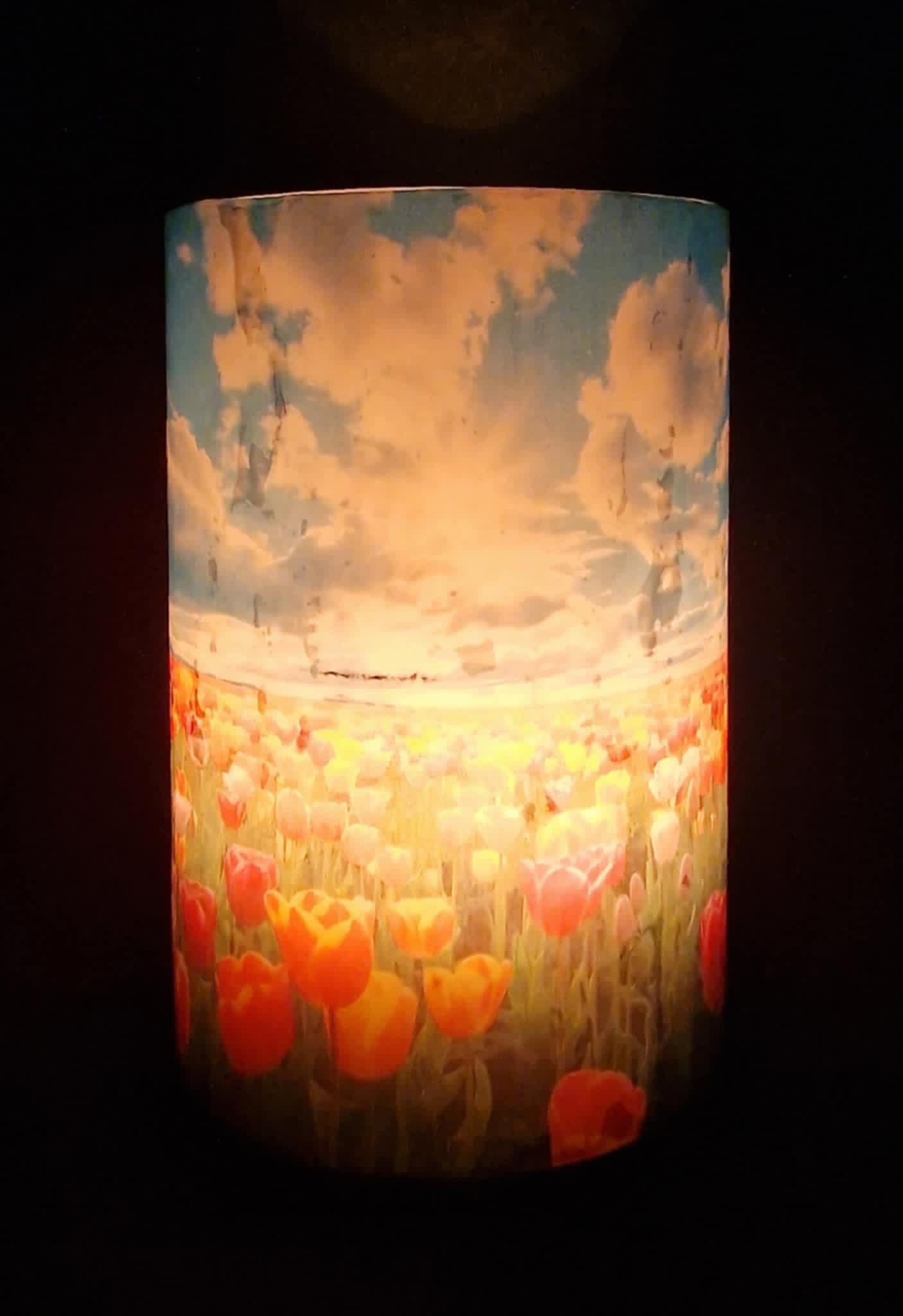 Weiland met bloeiende tulpen