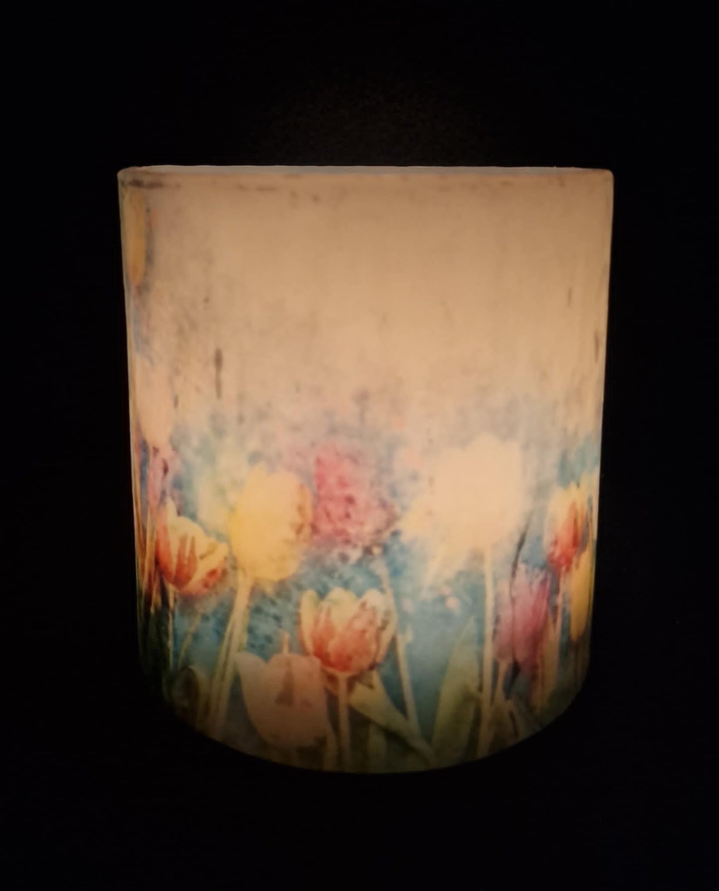 Kleurrijke bloemen