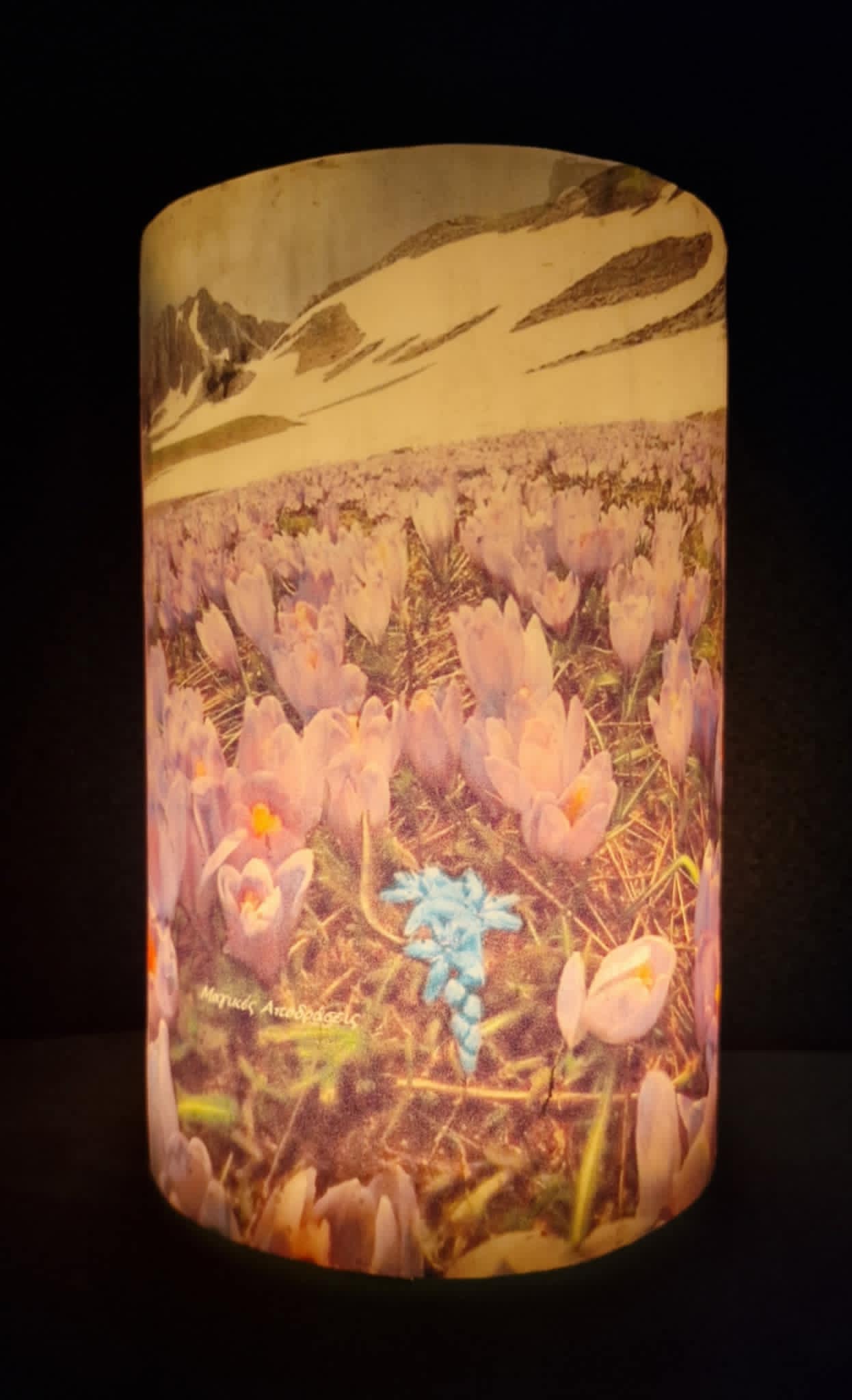 Alpenbloemen