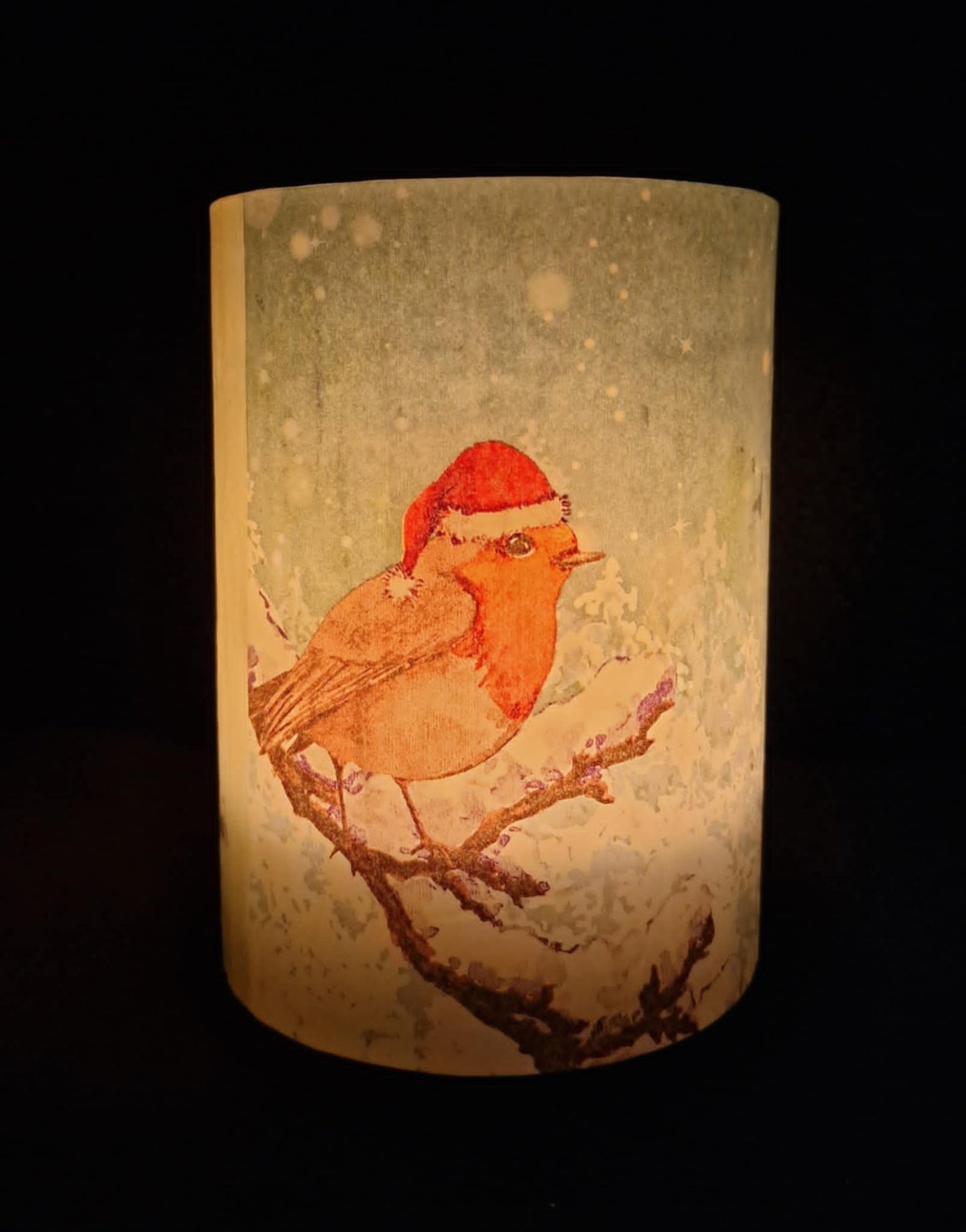 Vogel met een Kerstmuts