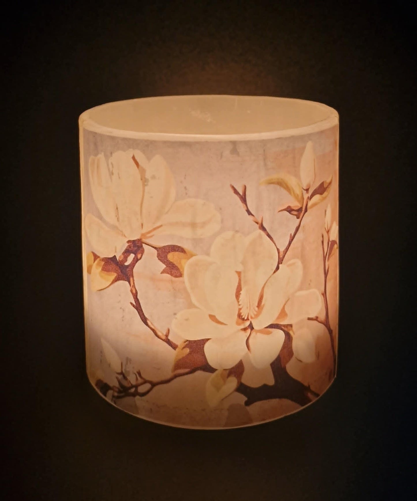 Magnolia