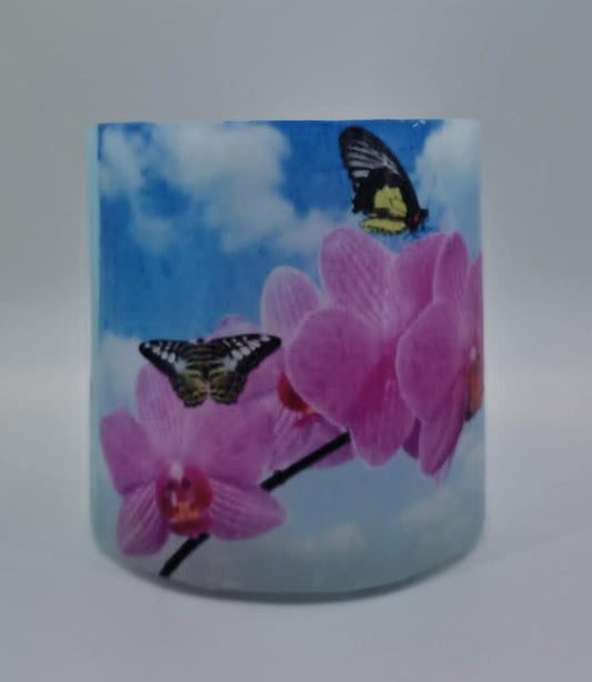 Roze orchidee