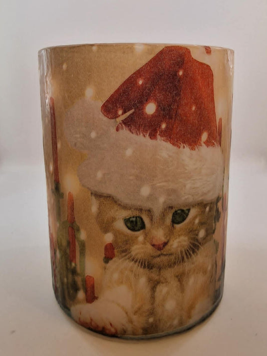 Kat in een kerstmuts