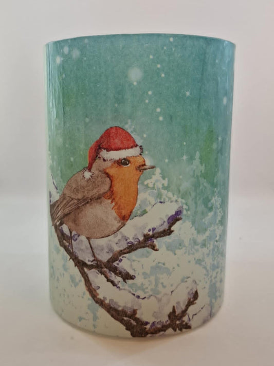 Vogel met een Kerstmuts