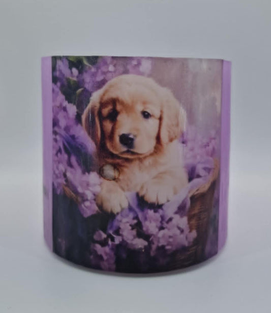 Hond in lila