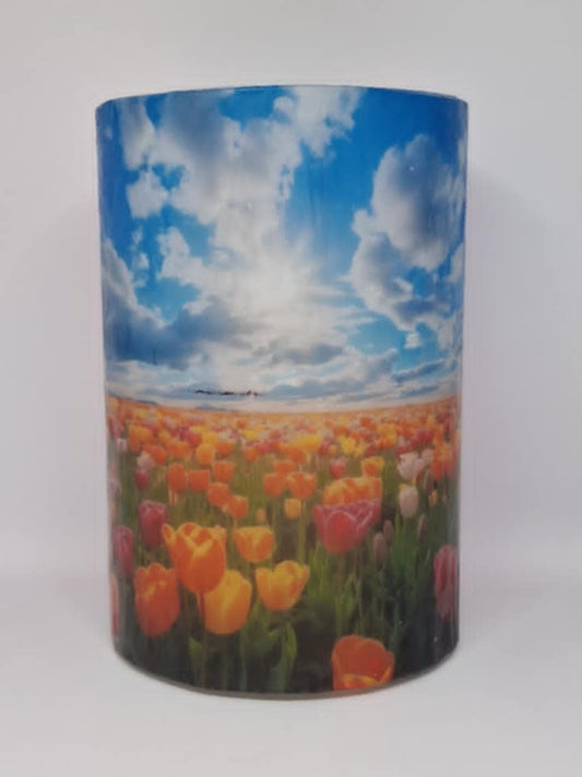 Weiland met bloeiende tulpen