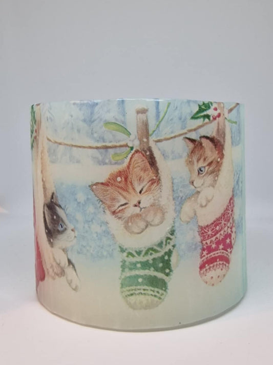 Kittens in kerst kousen