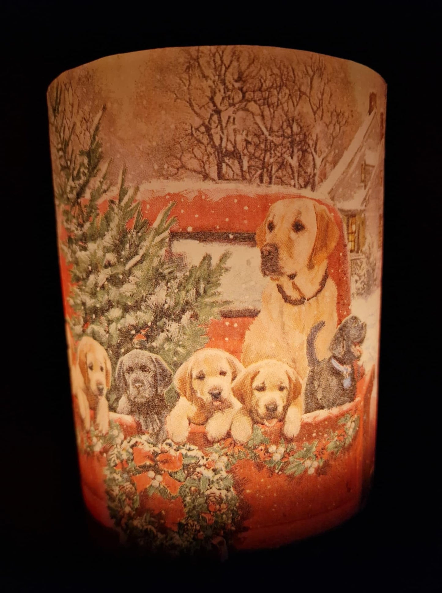 Honden achter op de auto