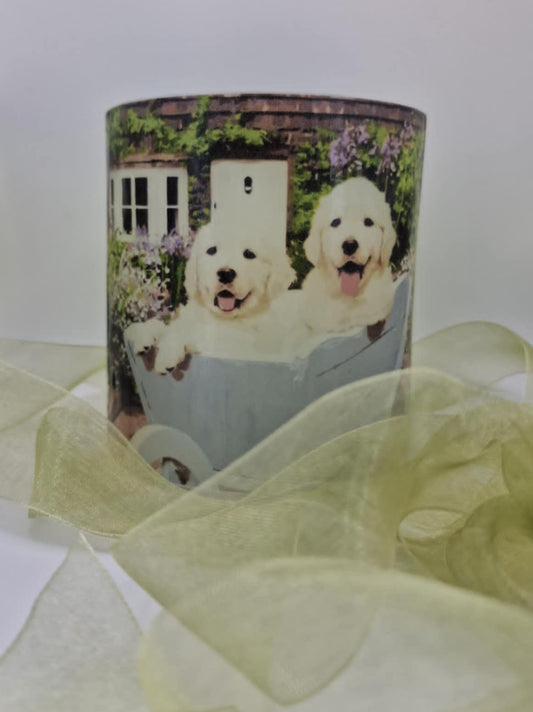 Puppy's in een kinderwagen