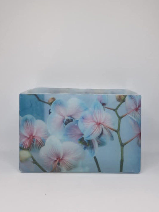 Bloemen