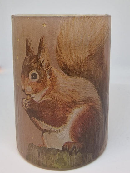 Eekhoorn in het bos