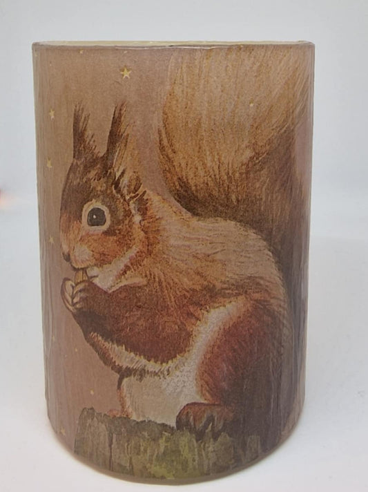 Eekhoorn in het bos