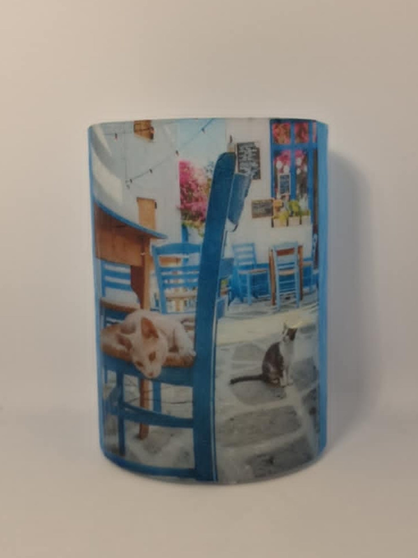 Katten in een eilandsteegje