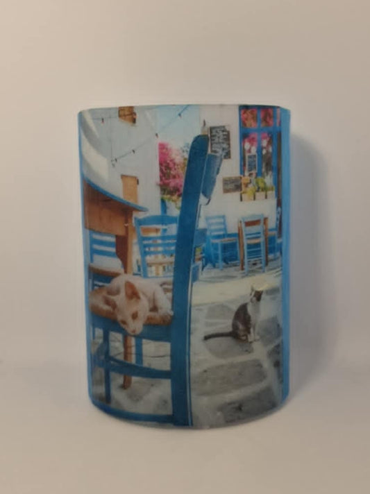 Katten in een eilandsteegje