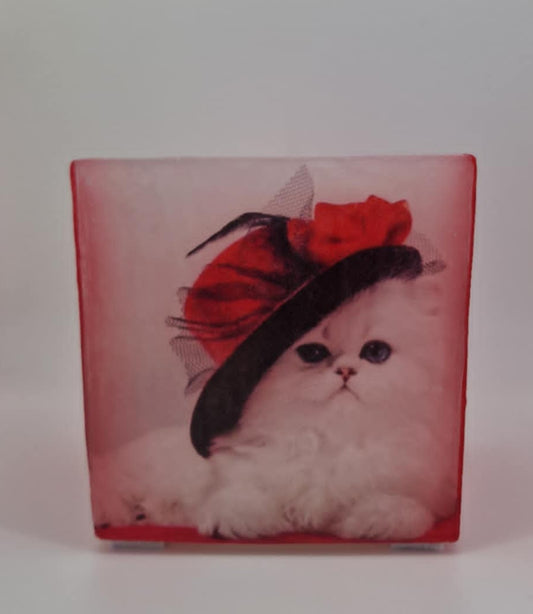 Chique kat
