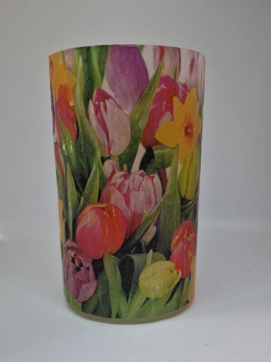 Tulipen