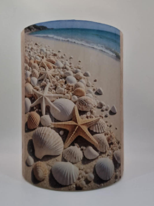Schelpen, zeesterren en kiezels in het zand