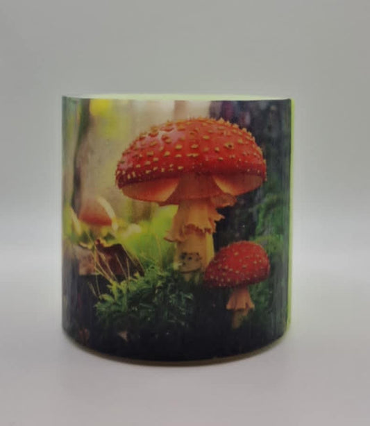 Paddenstoelen in het bos