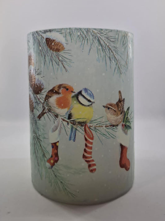 Vogeltjes in de sneeuw