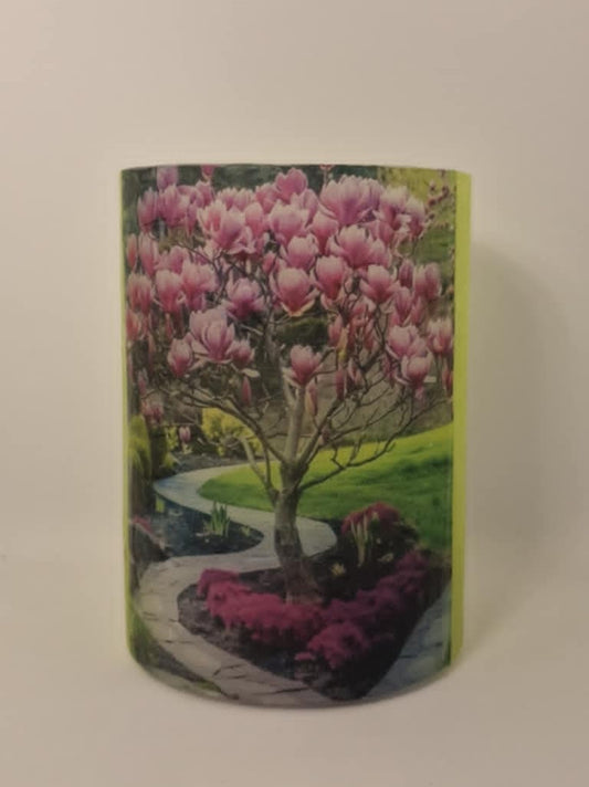 Bloeiende magnolia
