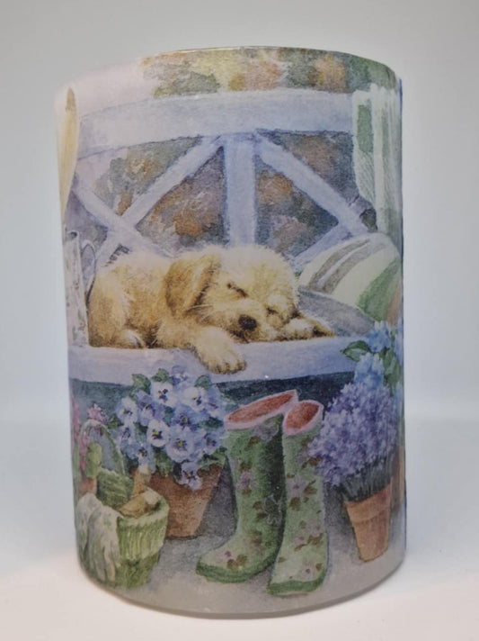 Hondje op een bank