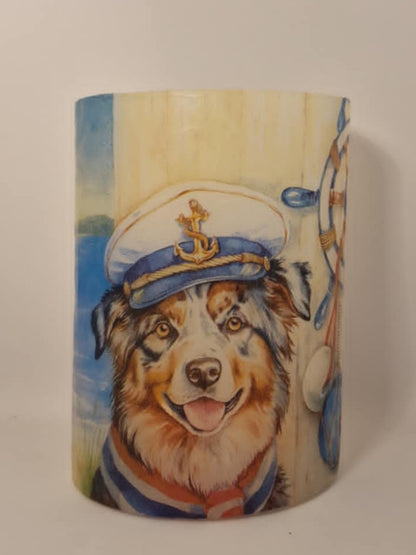 Zeeman hond