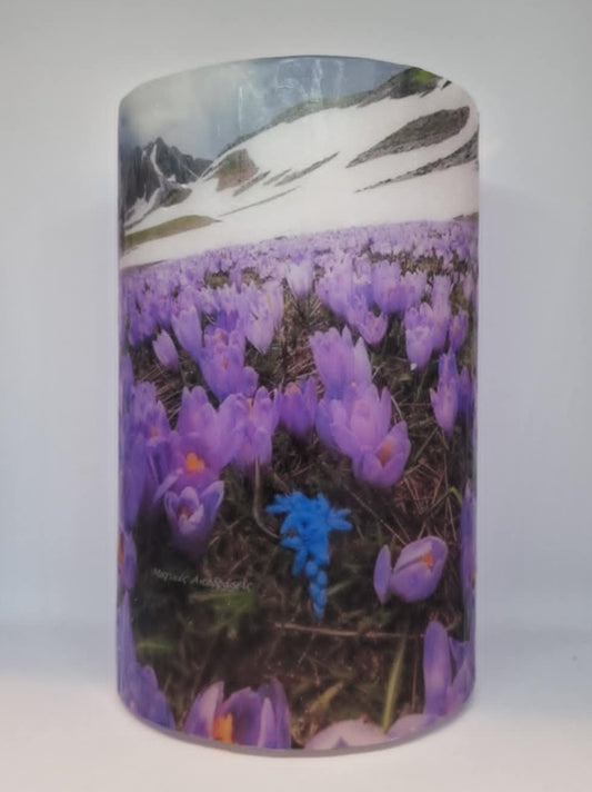 Alpenbloemen