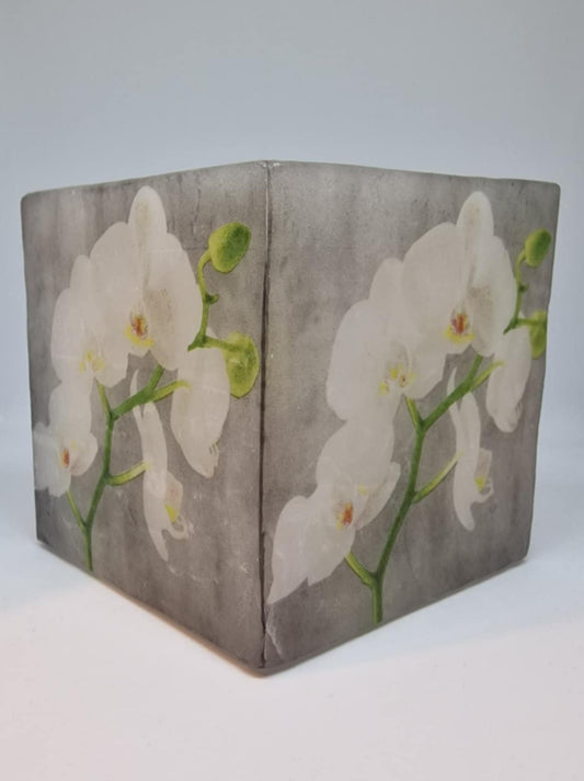 Orchideeën