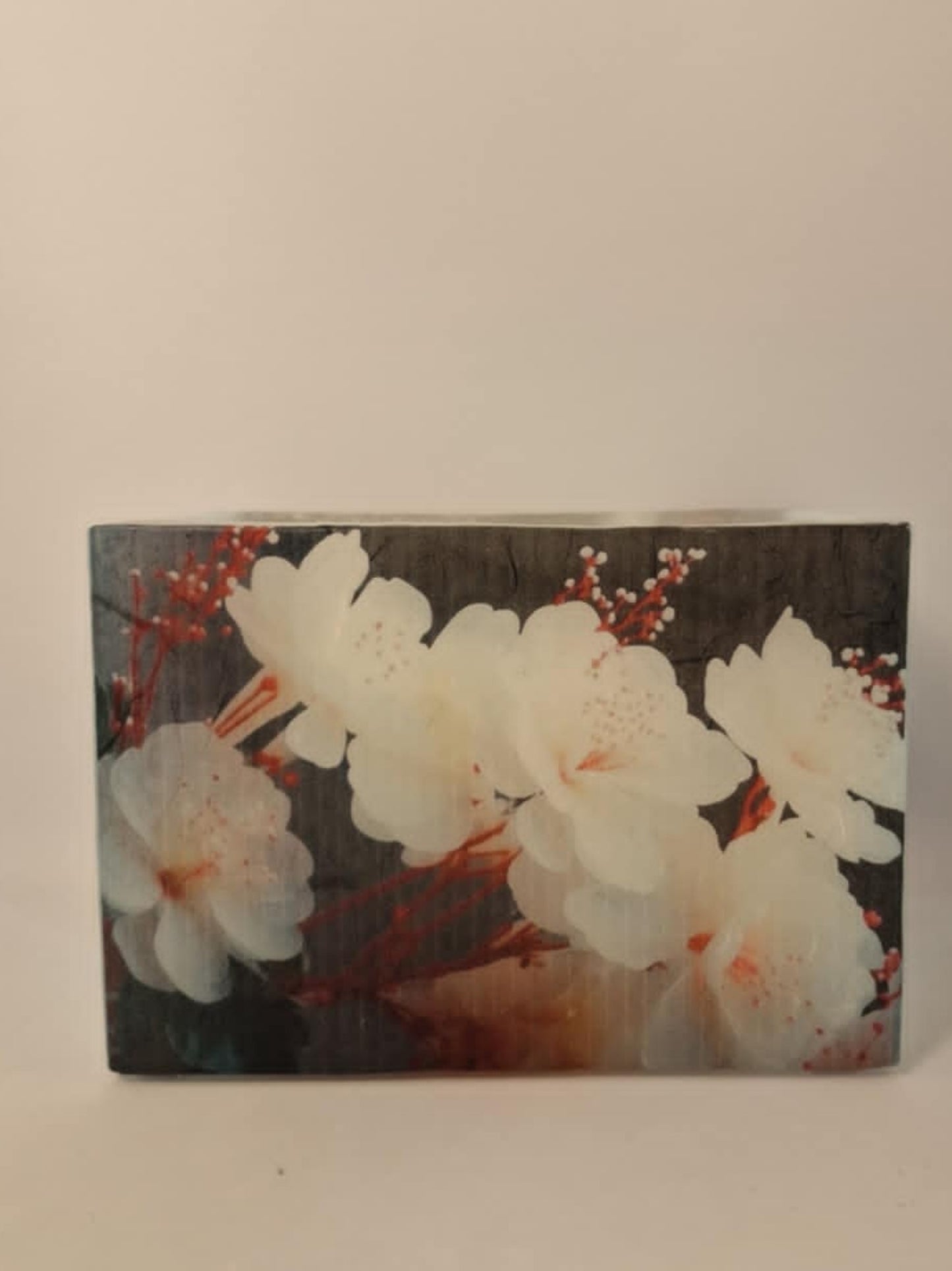Bloeiende witte bloemen