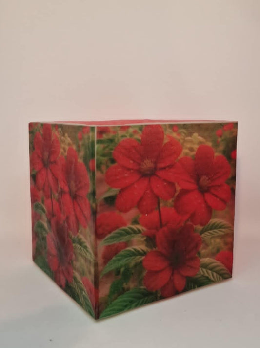 Rode bloemen