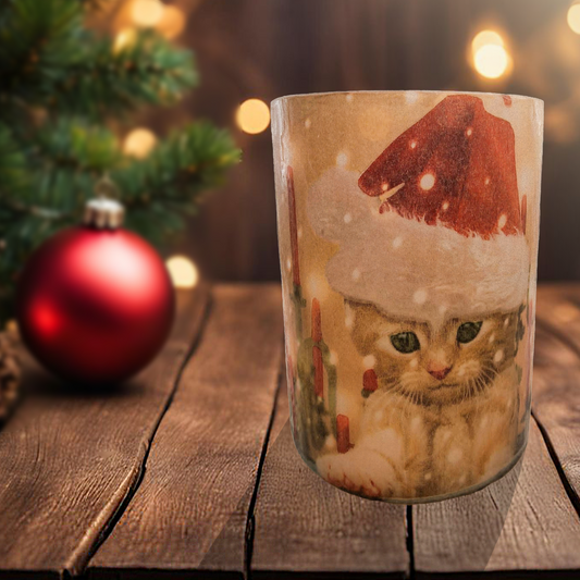 Kat in een kerstmuts