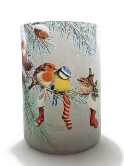 Vogeltjes in de sneeuw