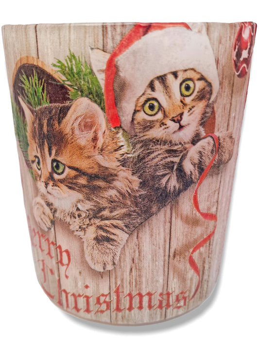 Kittens in een kerstmuts