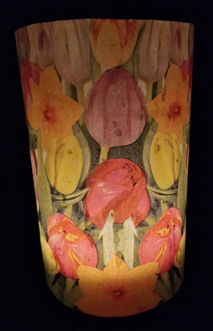 Tulipen