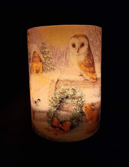 Dieren van het bos