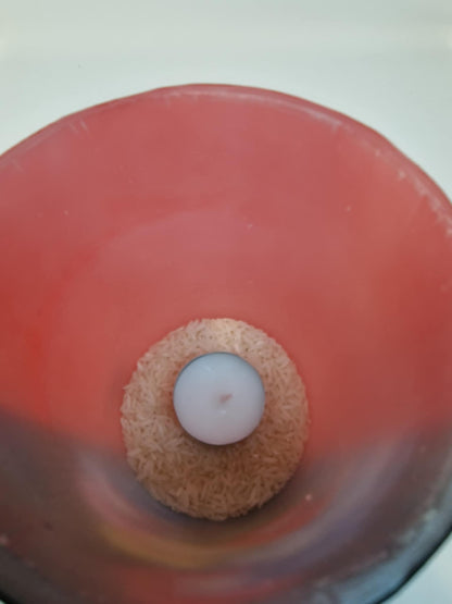Kleurrijke viooltjes