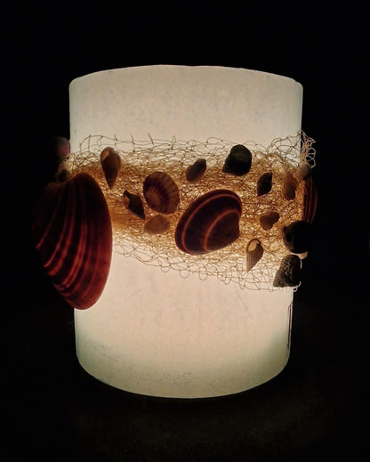 Zeeschelpen en visnet